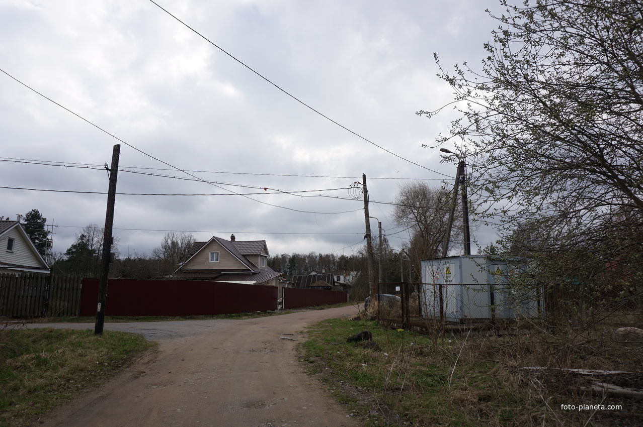 Мартышкино.