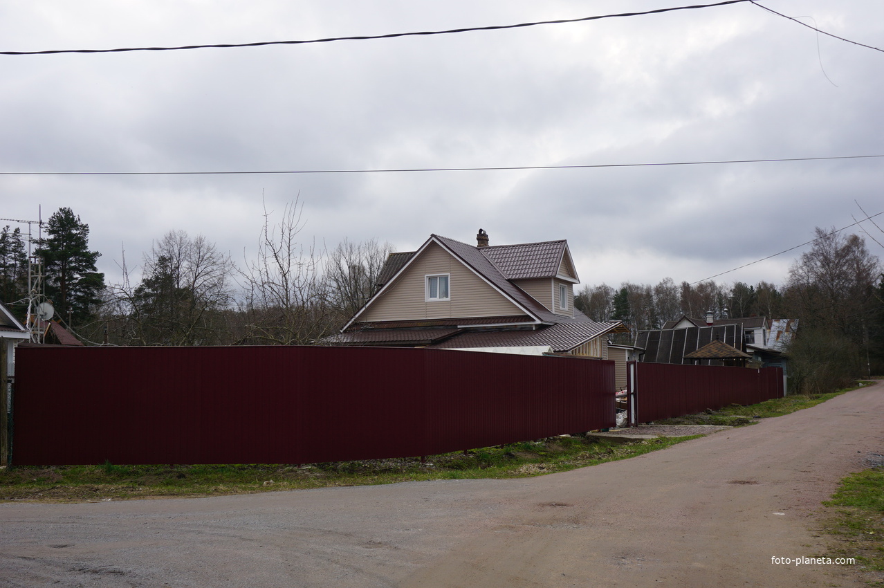 Мартышкино.