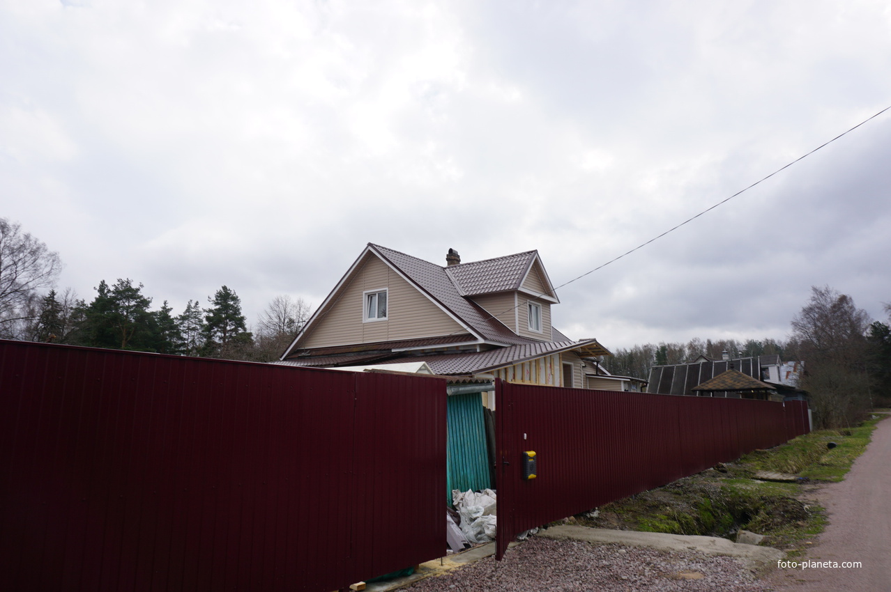 Мартышкино.