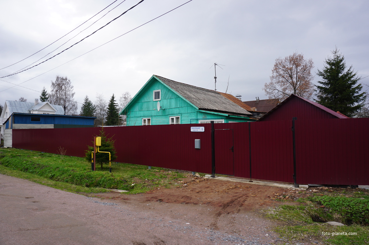 Мартышкино.