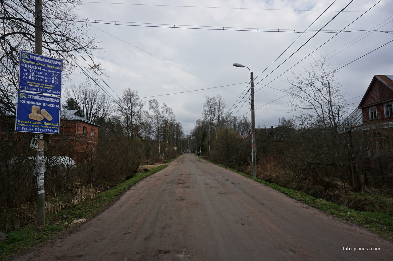 Пляж в мартышкино