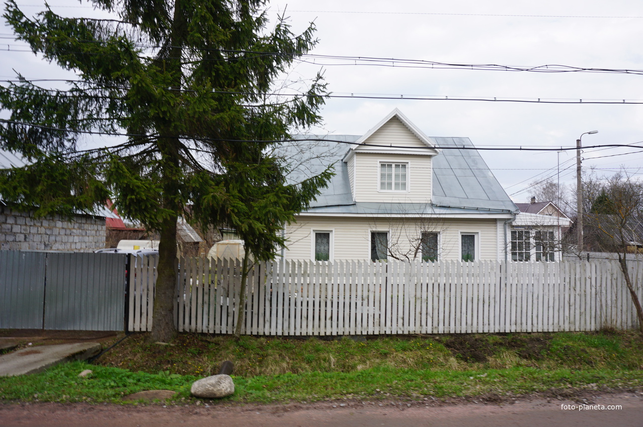 Мартышкино.