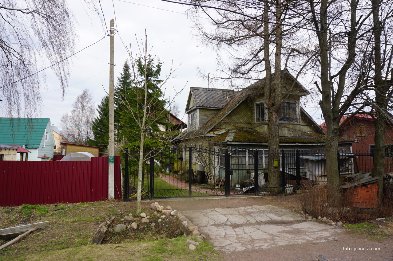 Мартышкино.