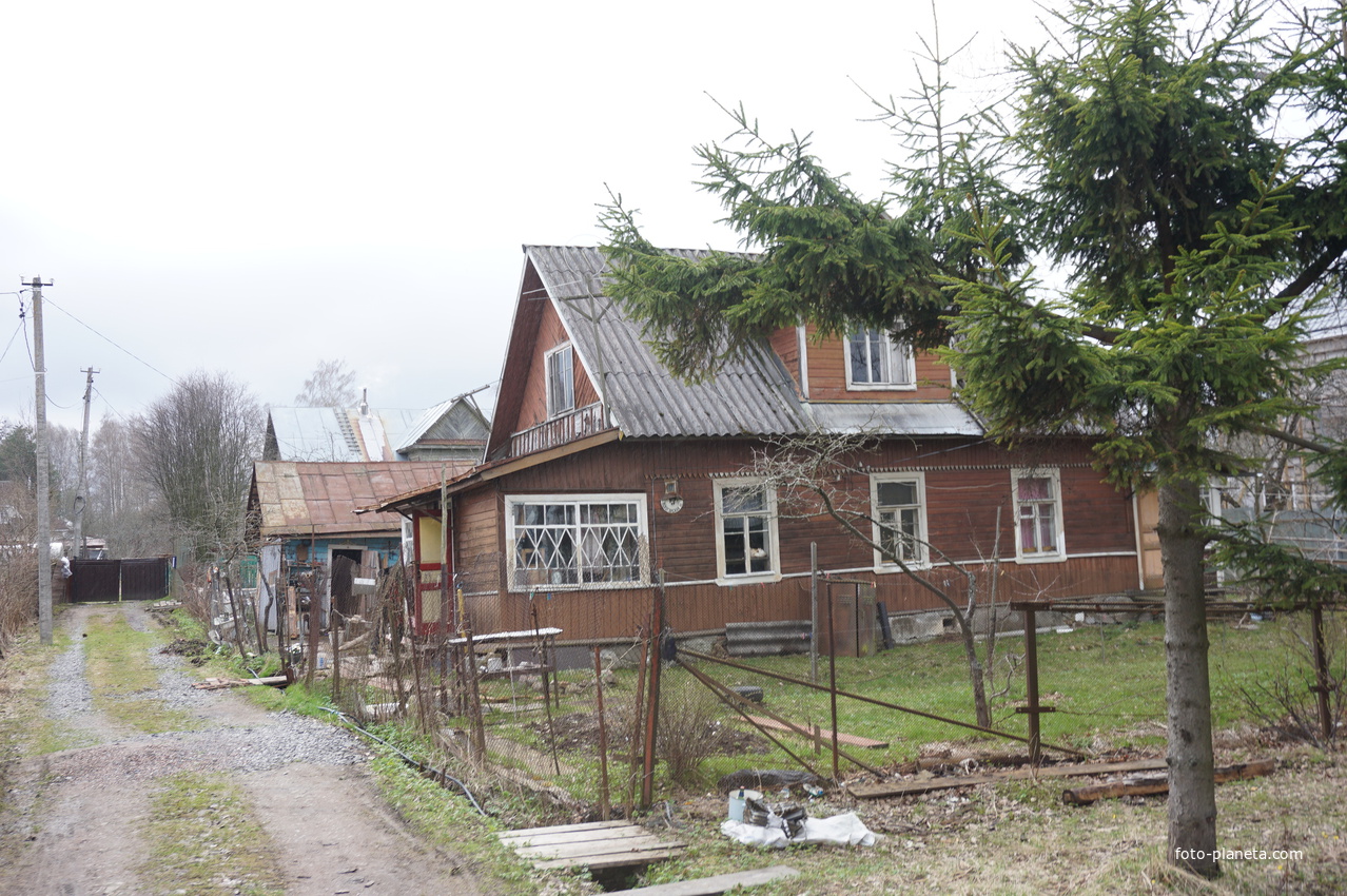 Мартышкино.