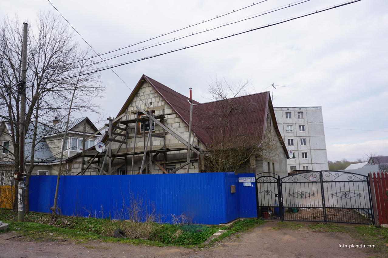 Мартышкино.