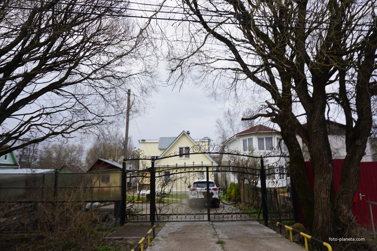 Мартышкино.