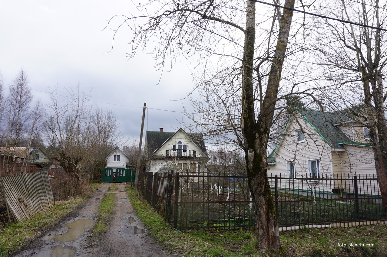 Мартышкино.