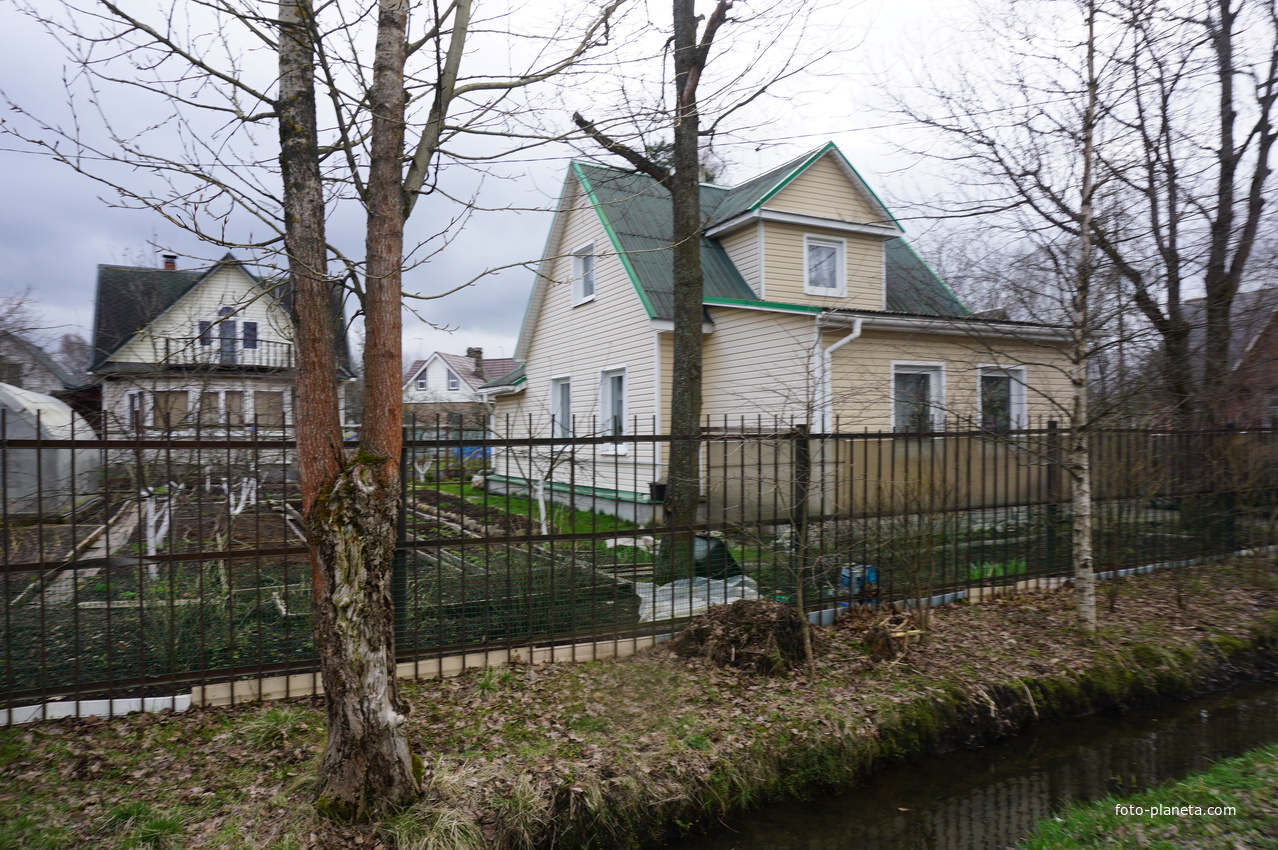 Мартышкино.