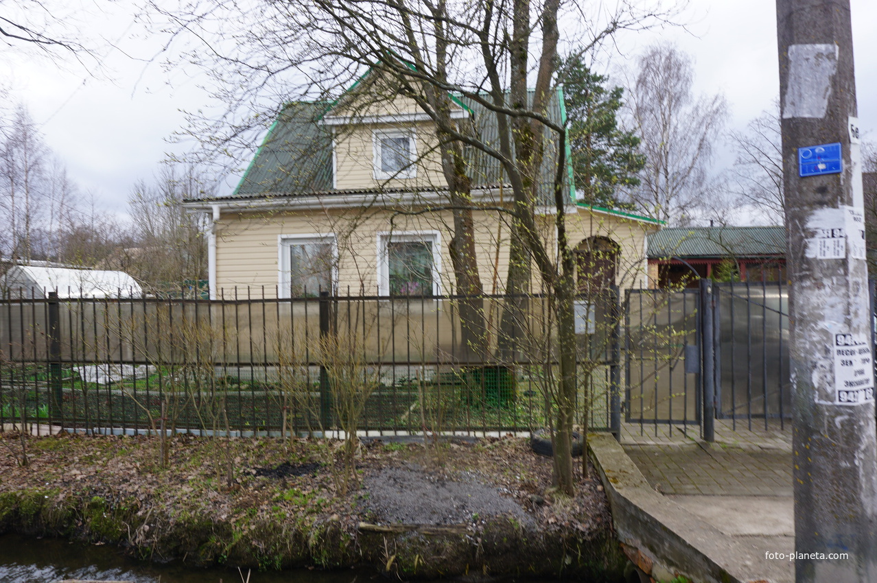 Мартышкино.