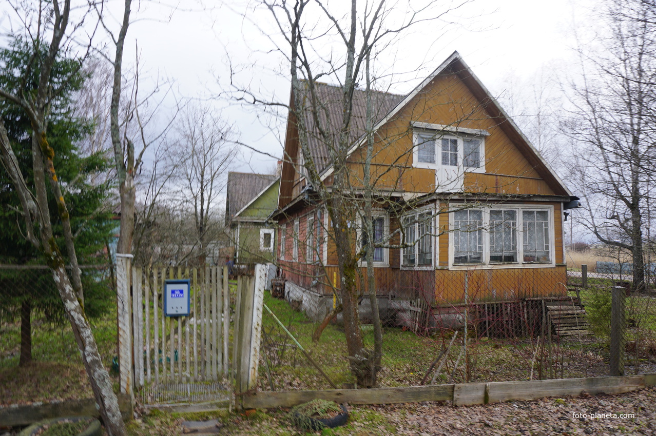 Мартышкино.