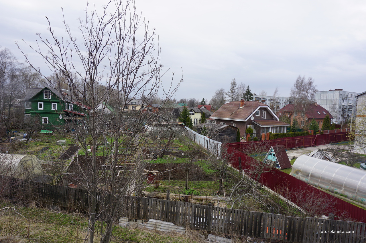 Мартышкино.