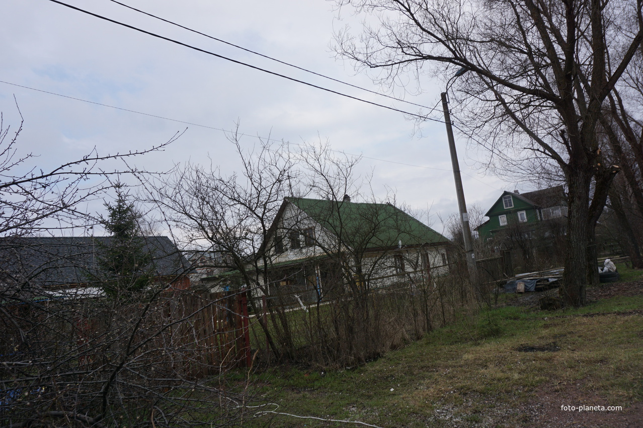 Мартышкино.