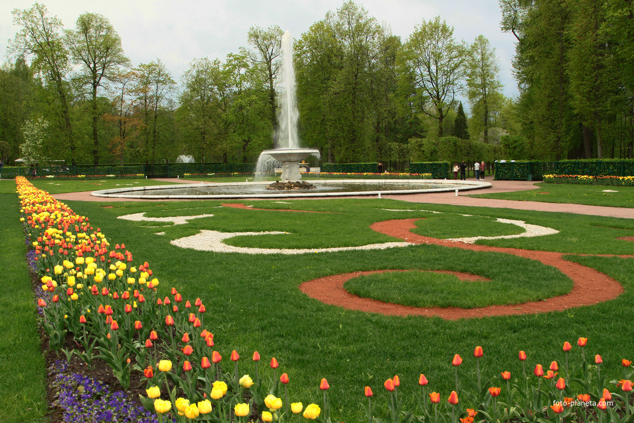 Фонтан Чаша