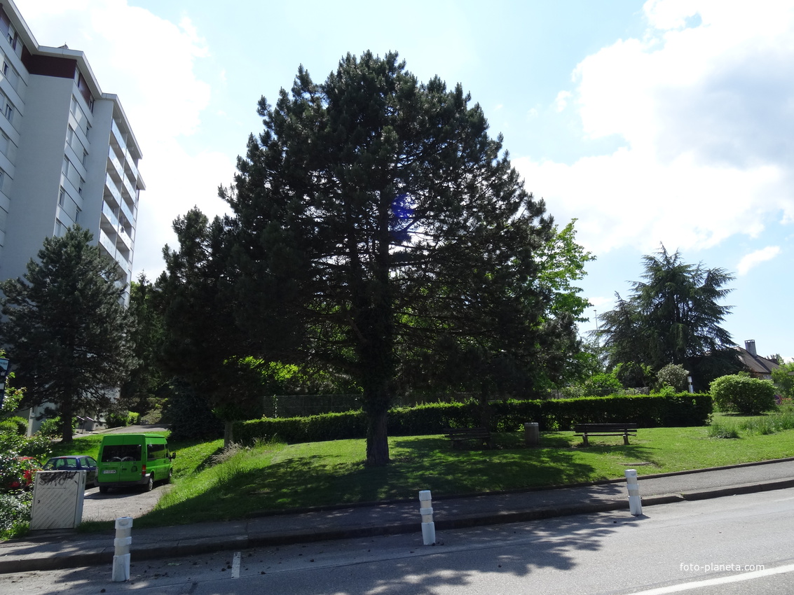 Cran-Gevrier 2018 France