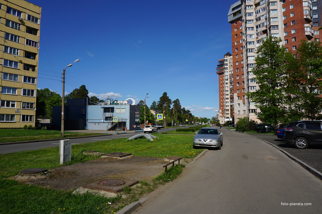 Сестрорецк