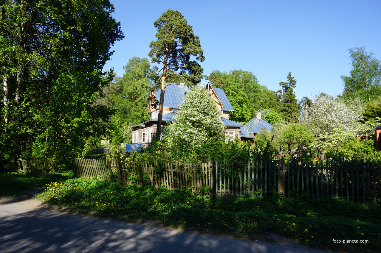 Сестрорецк