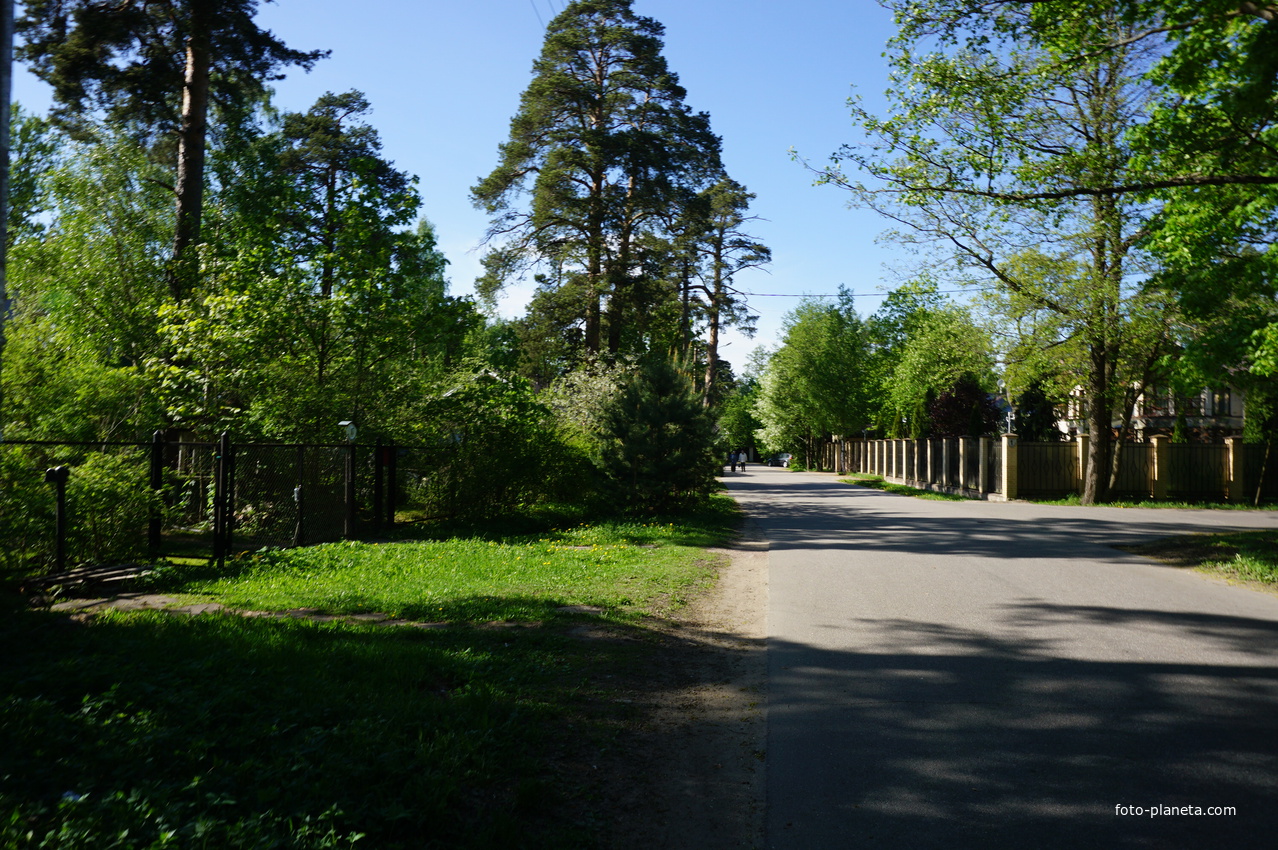 Сестрорецк