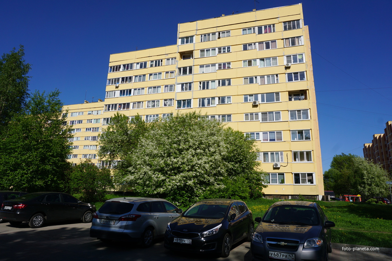 Сестрорецк