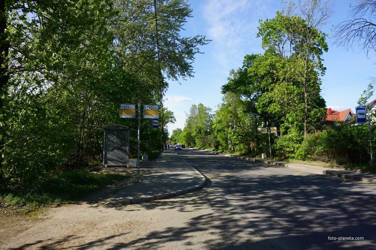 Сестрорецк