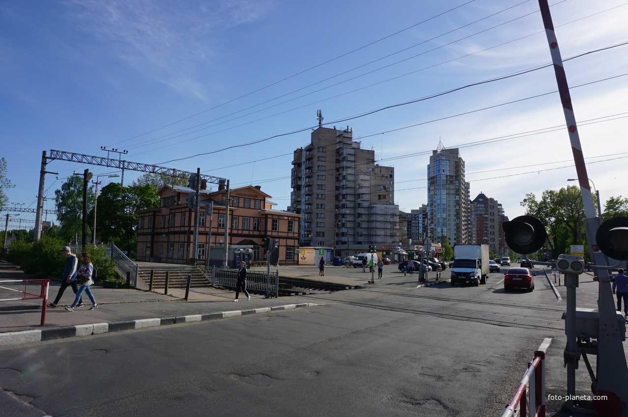 Сестрорецк