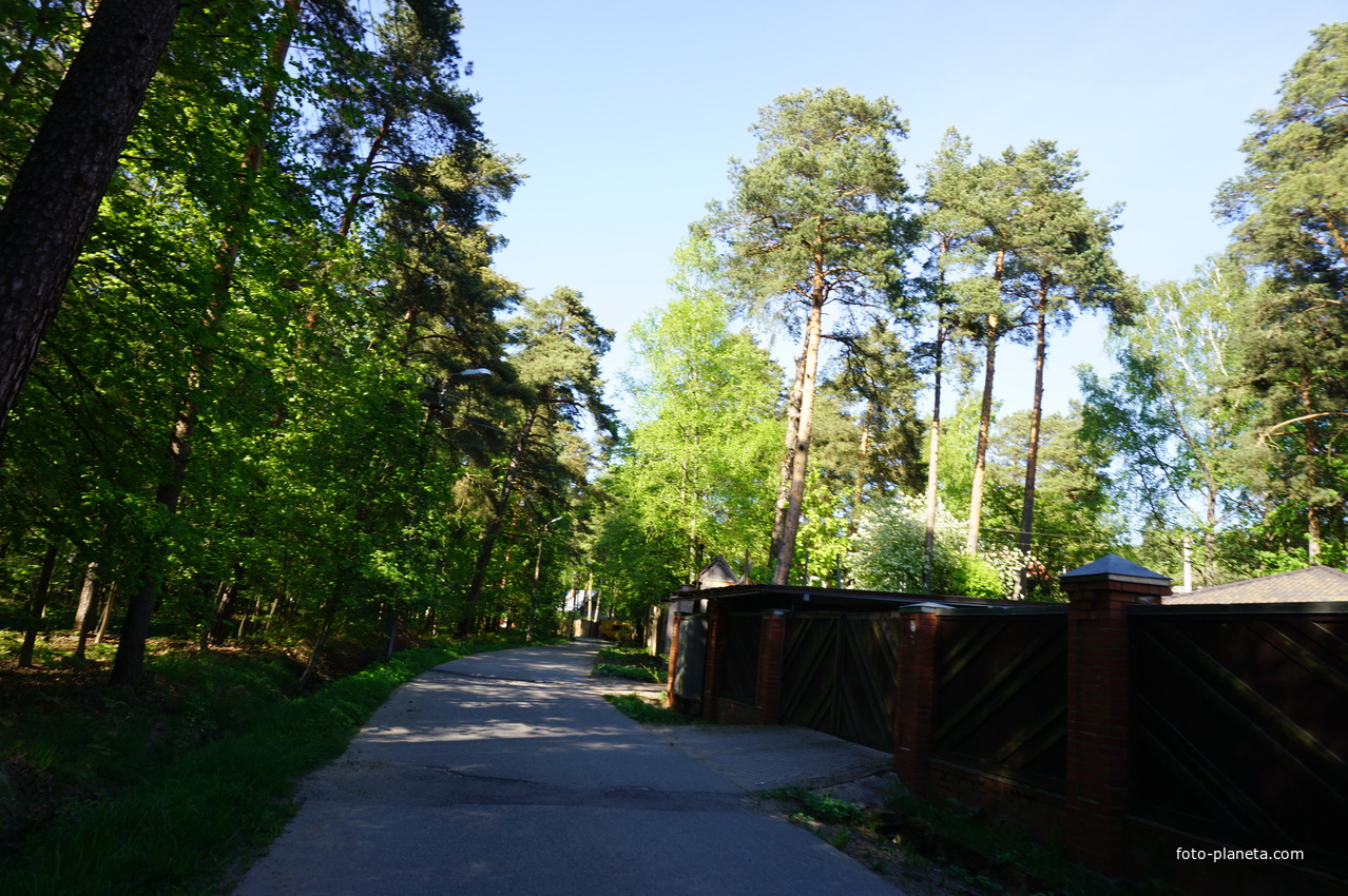 Сестрорецк