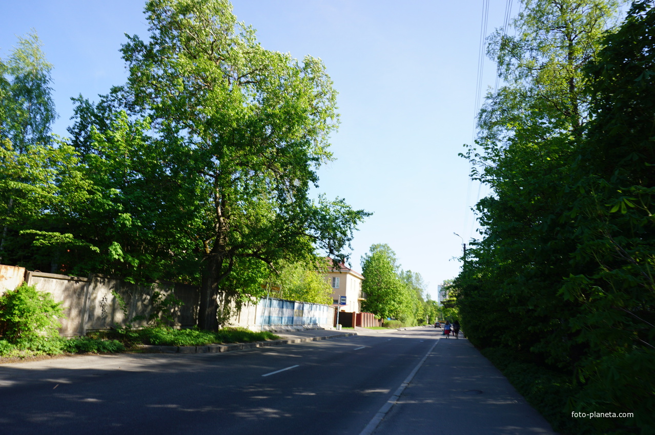 Сестрорецк