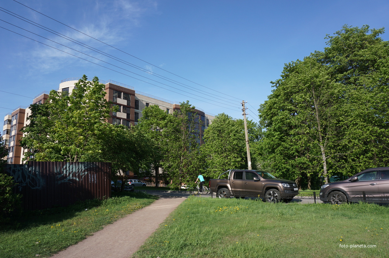 Сестрорецк