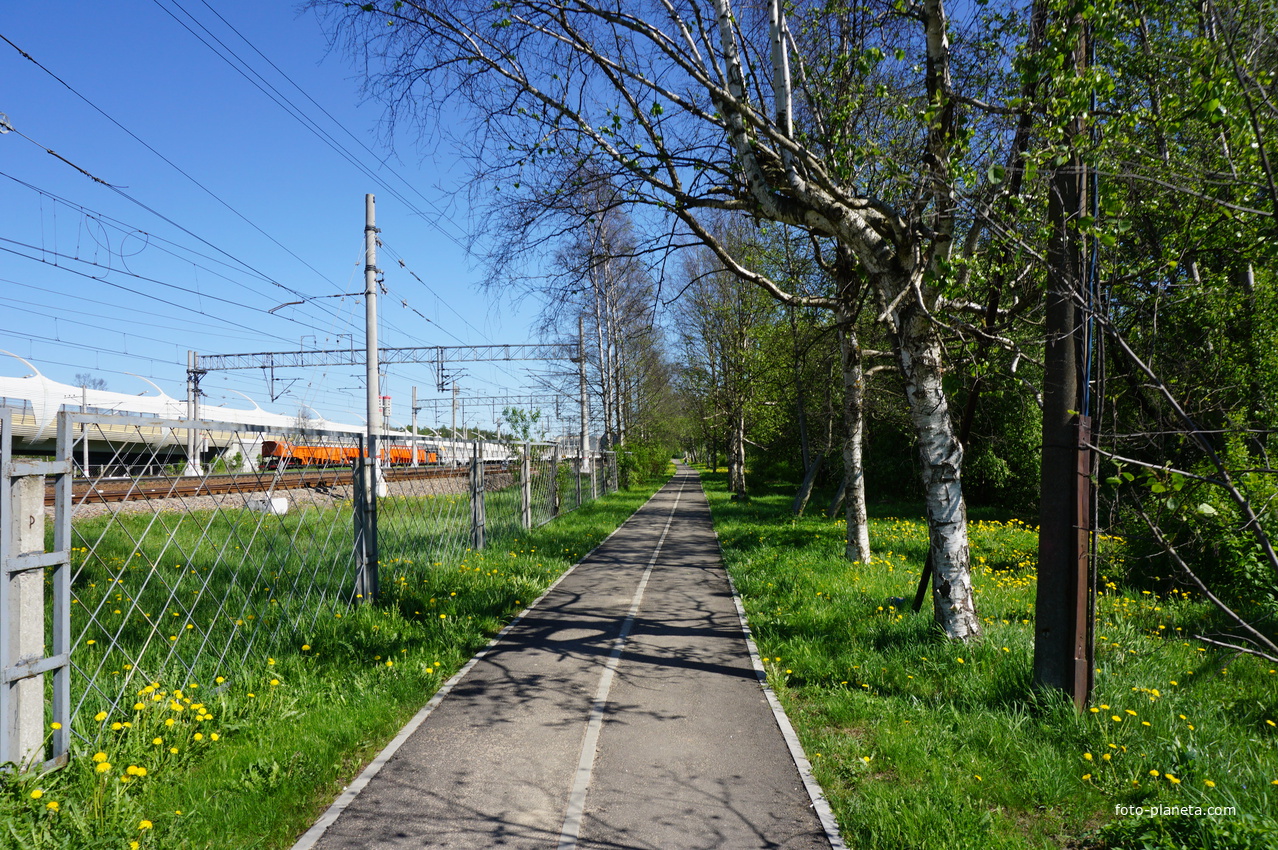 Белоостров.