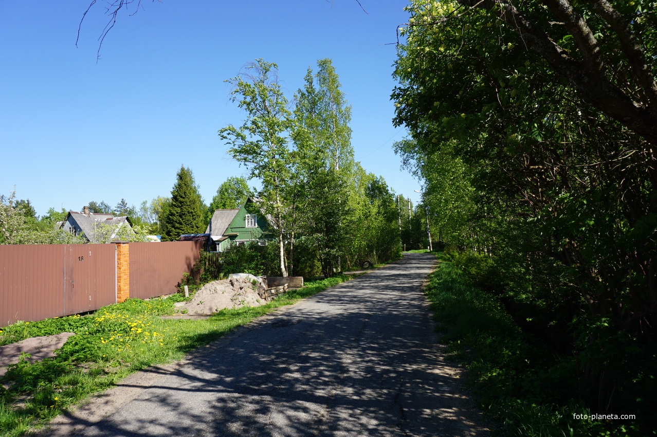 Белоостров.