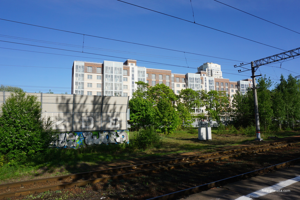 Сестрорецк