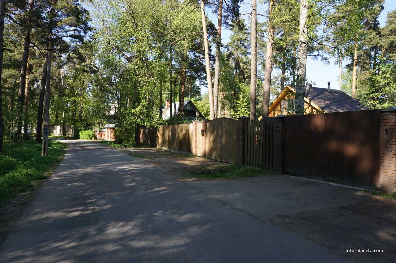 Сестрорецк