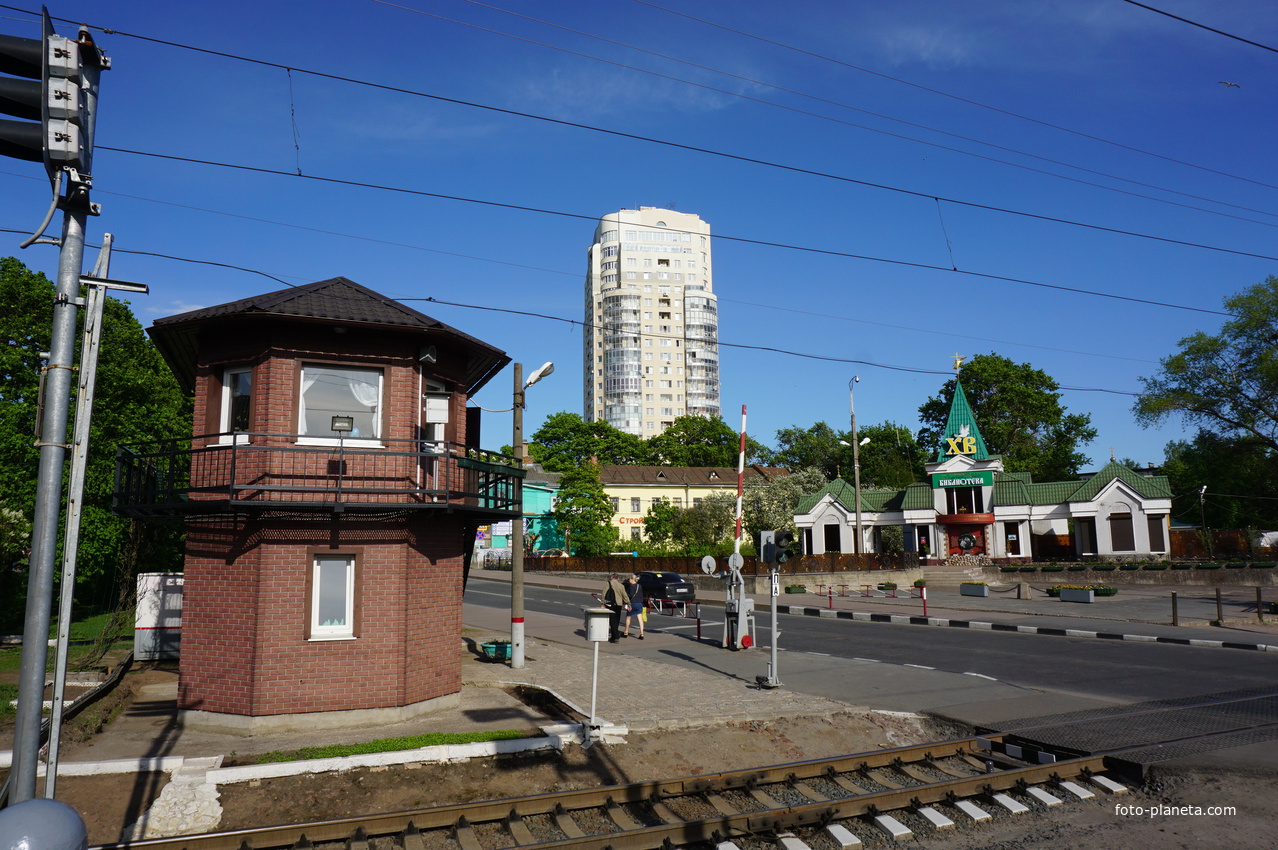 Сестрорецк