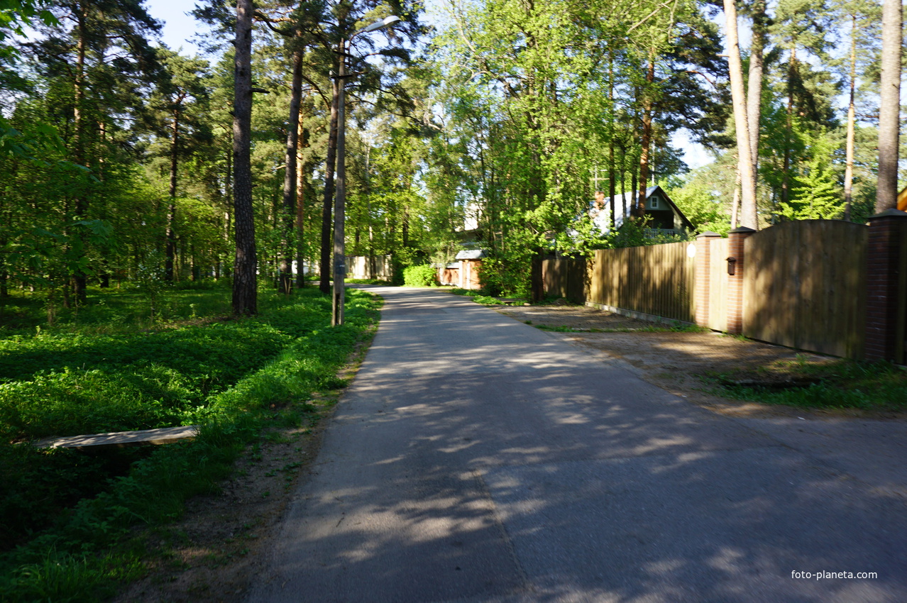 Сестрорецк