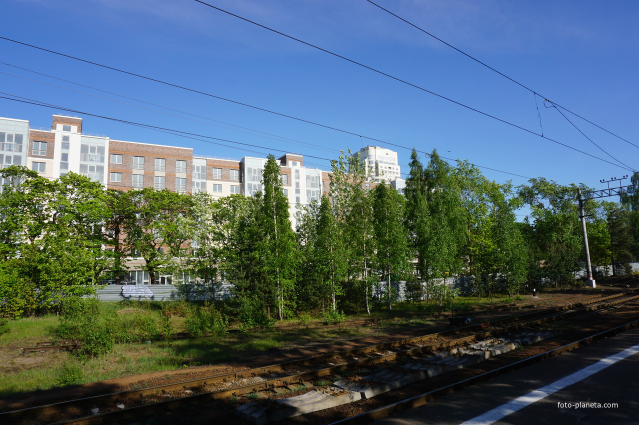 Сестрорецк