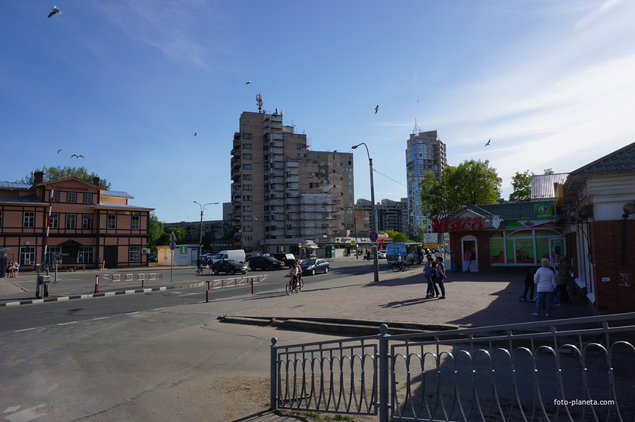 Сестрорецк