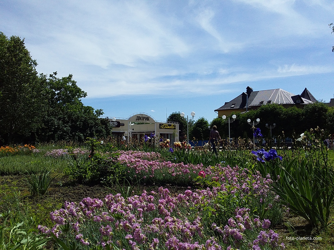 город Измаил, проспект Мира