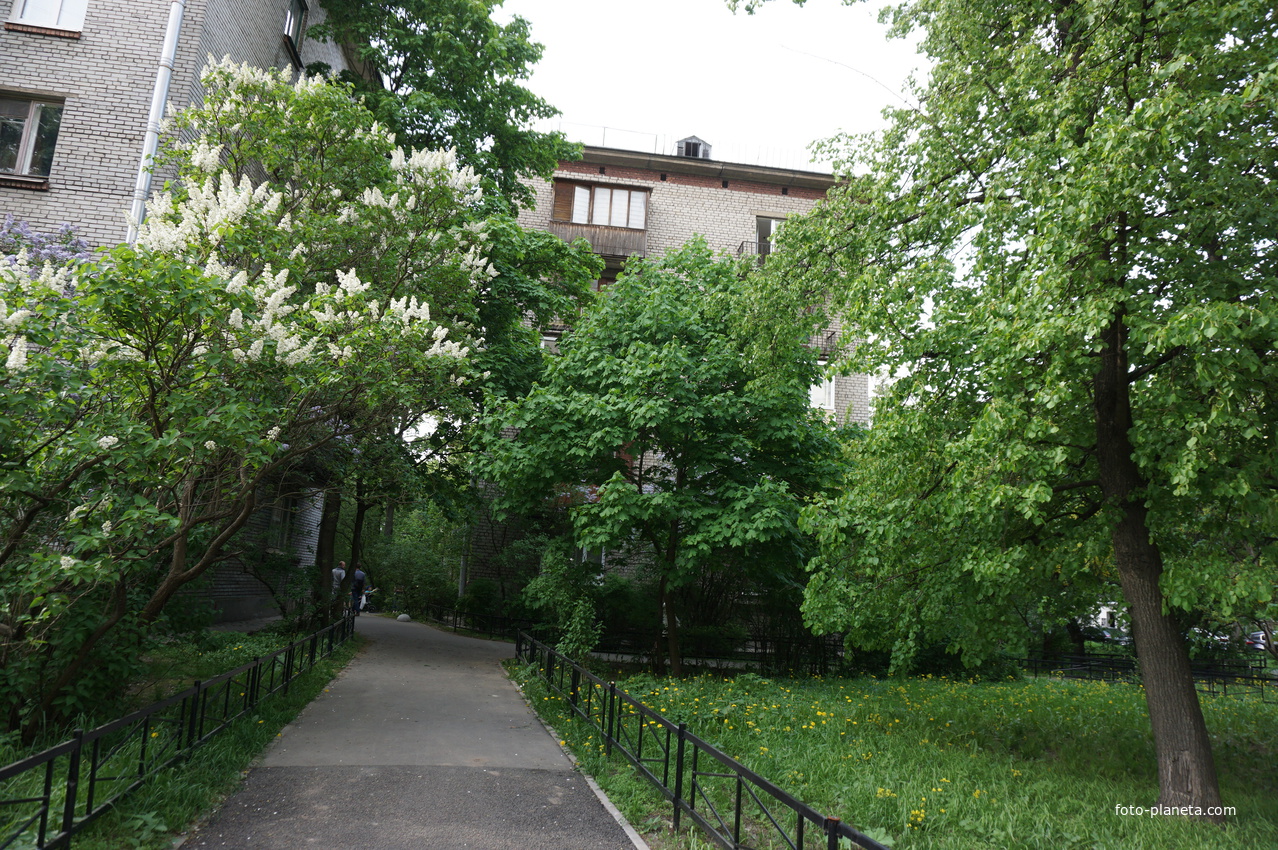 Парк Технического университета.
