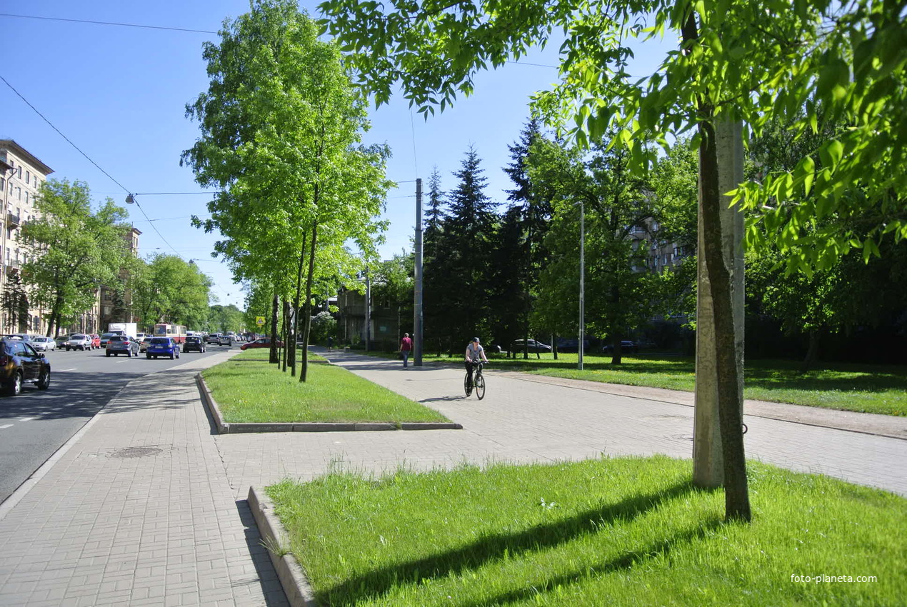 На проспекте Энгельса.