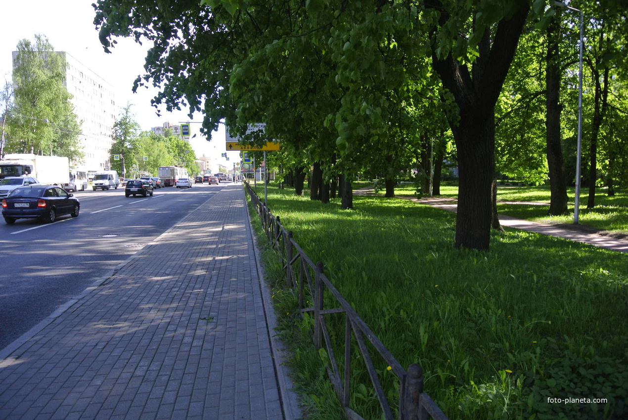 На проспекте Энгельса.