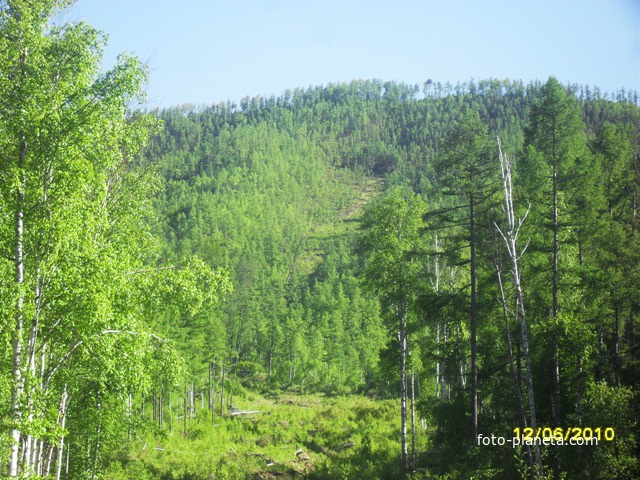 Хонгор-Ула