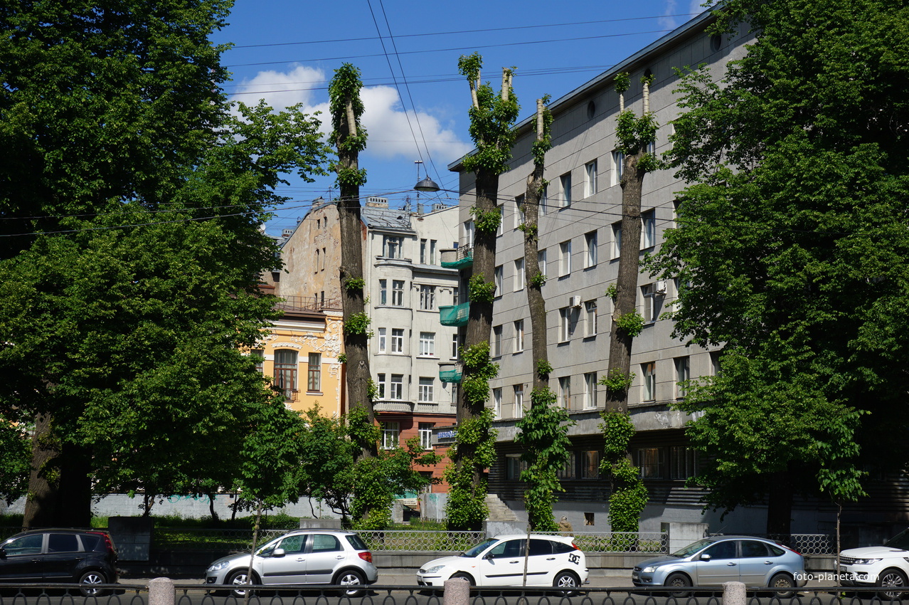 Набережная реки Карповки.