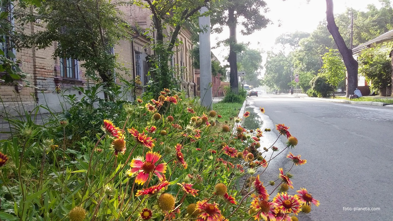 город Измаил, улица Покровская