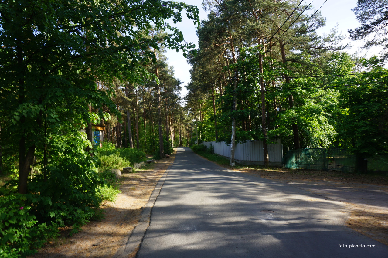 Сестрорецк (Курорт).