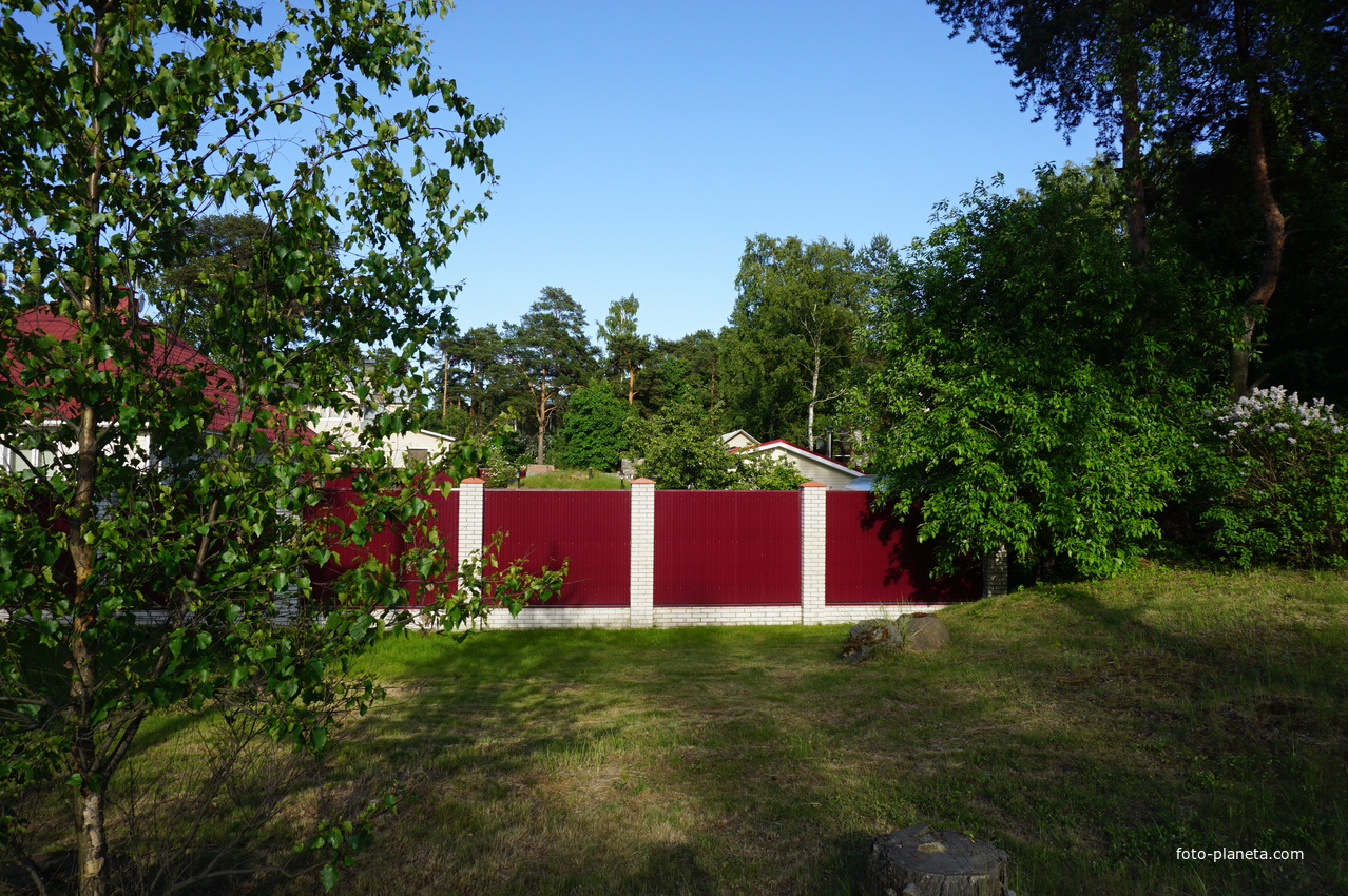 Сестрорецк (Тарховка).