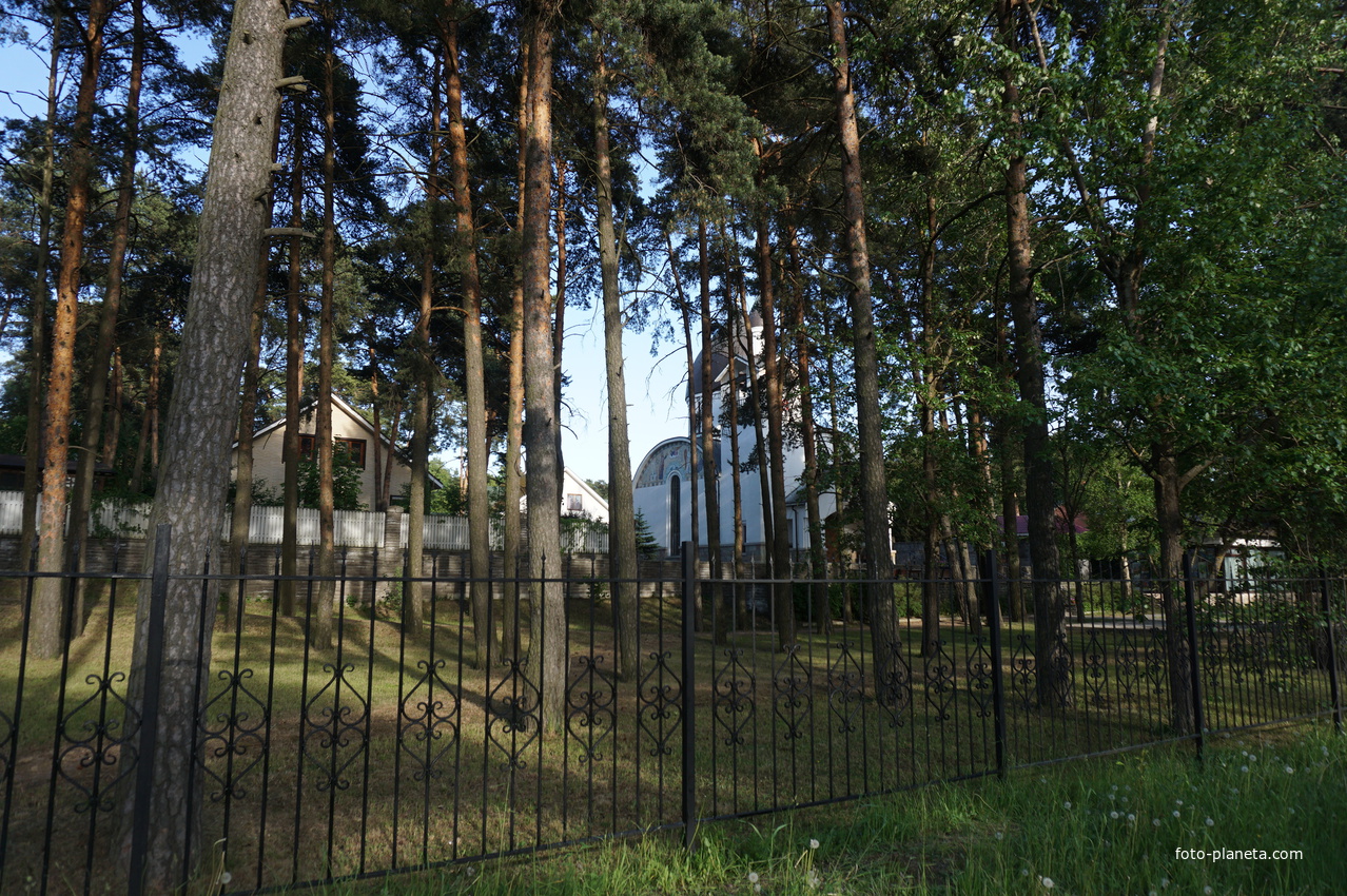 Сестрорецк (Александровская).