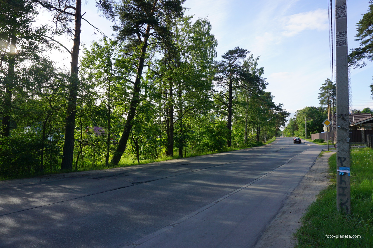 Сестрорецк (Александровская).