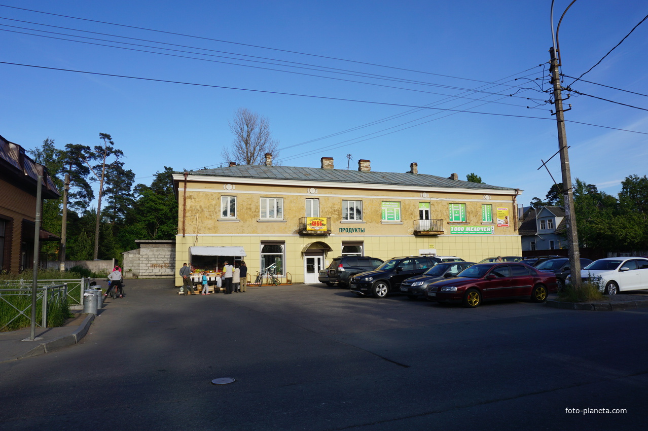 Сестрорецк (Александровская).