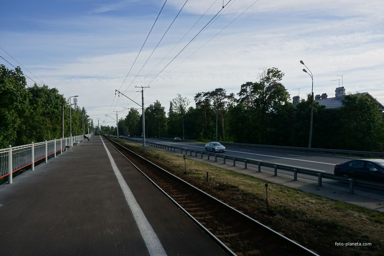 Сестрорецк (Александровская).