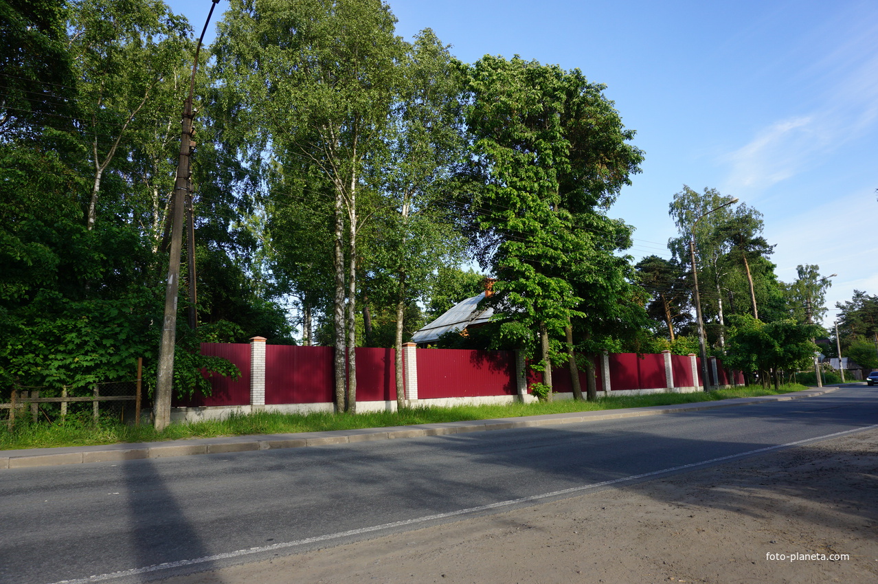 Сестрорецк (Александровская).