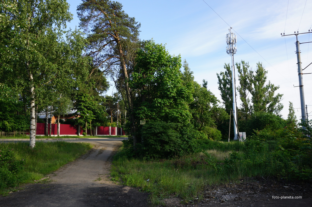 Сестрорецк (Александровская).
